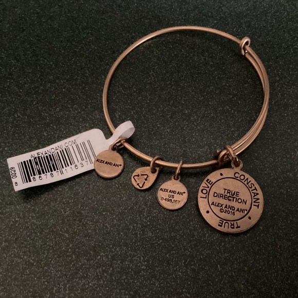 Alex and Ani Expandable Wire Bracelet True Direction New with tag - Picture 6 of 8